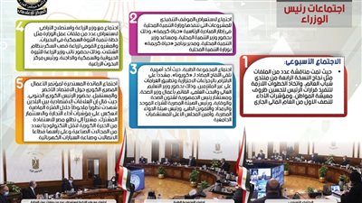 أبرز قرارات مجلس الوزراء الصادرة خلال هذا الأسبوع| إنفوجراف 