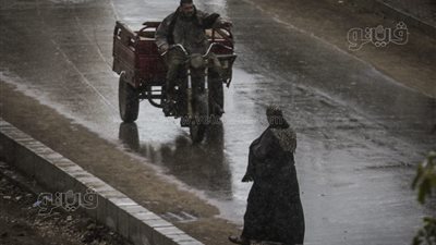 حالة الطقس غدًا الإثنين 24-1-2022 في المنوفية