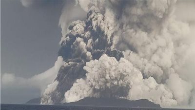 نفوق الحيوانات على شواطئ بيرو بسبب بركان تونجا