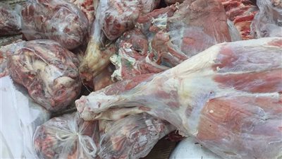 ضبط 13 طن لحوم ودواجن وأسماك فاسدة قبل بيعها للمواطنين