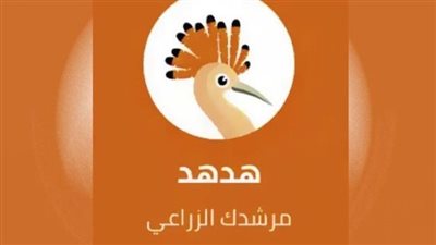 كل ما تريد معرفته عن التطبيق الجديد المساعد للفلاح «هدهد» 