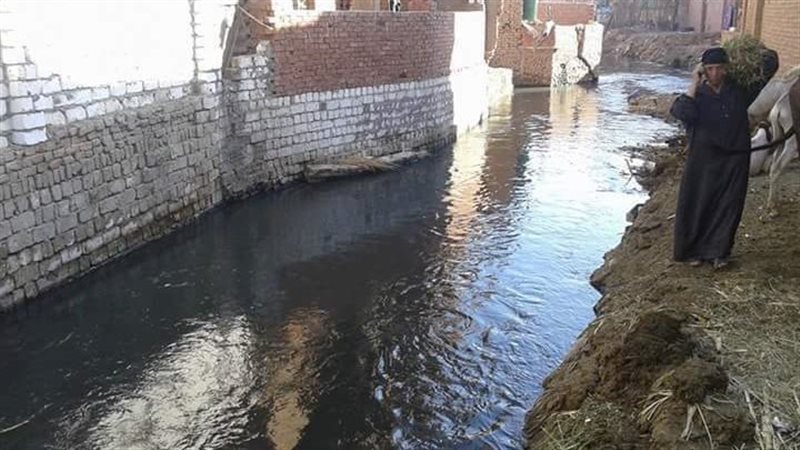 بحر سنهور القبلية