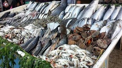 أسعار السمك اليوم، البلطي 