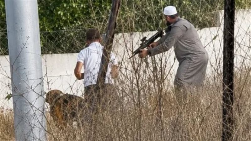 فاروق رمضان، قصة بطل أسطوري أعزل في أرض فلسطين  (فيديو)