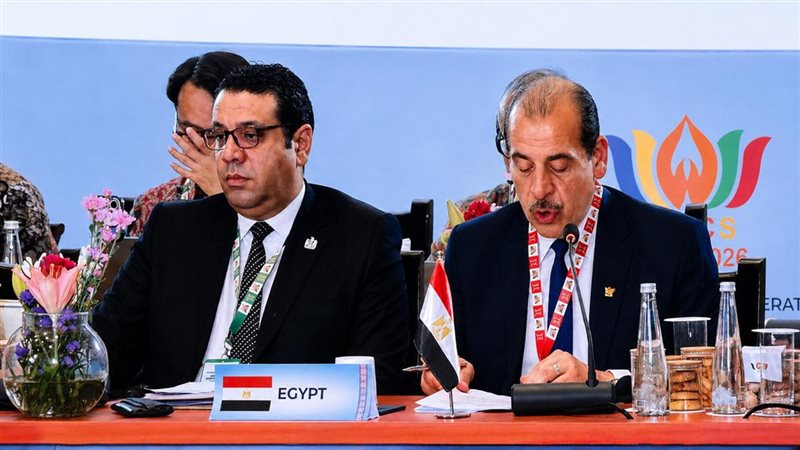 د.عمرو قنديل 