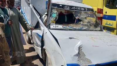 ننشر أسماء المصابين الـ11 في حادث انقلاب سيارة بطريق أسوان الزراعي (صور)