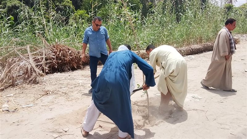 أعمال التشجير بمحافظة