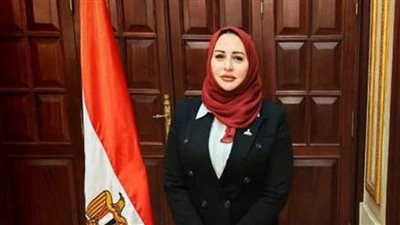 النائبة سرقت الفكرة، تغيير مسمى ربة منزل إلى صانعة جيل معتمدة منذ مارس فى دبي