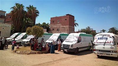 انطلاق قافلة طبية مجانية بقرية الأمراء في البحيرة غدا 