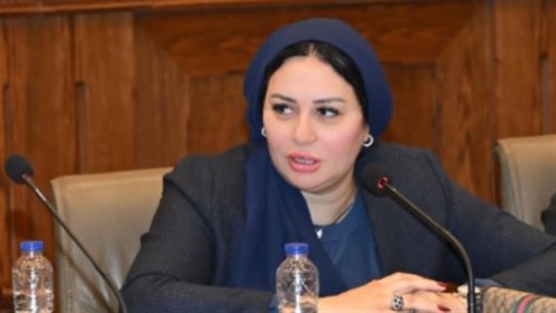 النائبة شيرين صبري،