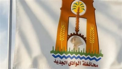 28 وظيفة هندسية لدعم الوحدات المحلية بالوادي الجديد لسد احتياجاتها