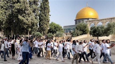 المستوطنون يواصلون اقتحام الأقصى، وتحذيرات من موجات أكثر تصاعدا
