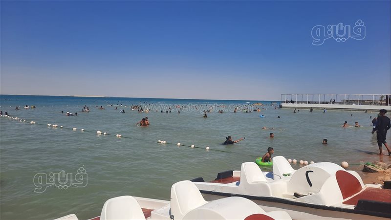شواطئ، فيتو