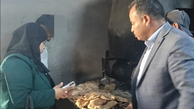 جانب من الحملات،
