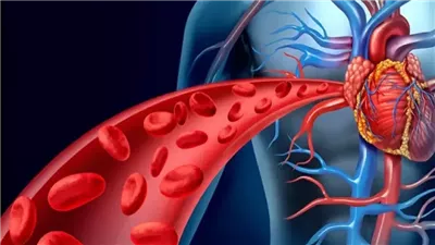 أسباب وأعراض قصور الشريان التاجي وطرق علاجه