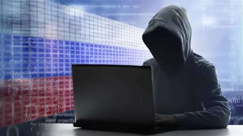 المجرمون السيبرانيون،