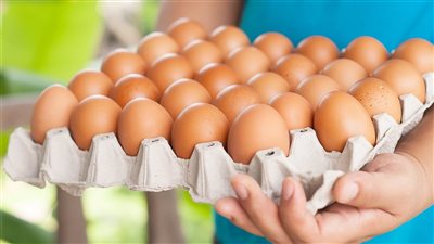 سعر كرتونة البيض اليوم الجمعة في بورصة الدواجن