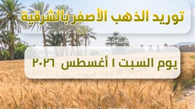 ارتفاع إجمالي القمح المورد لصوامع الشرقية إلى 677 ألف طن 