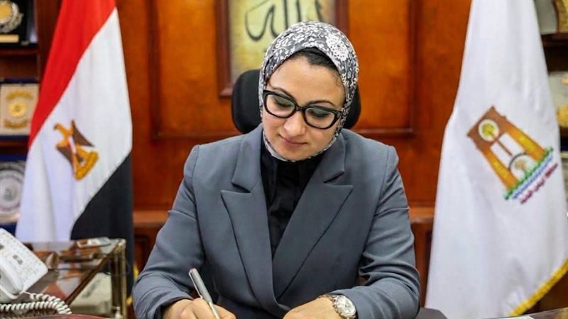 محافظ الوادي الجديد،