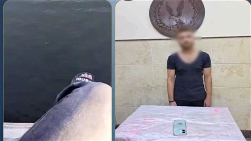مفاجأة وراء فيديو