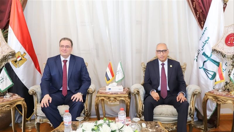 رئيس مجلس الدولة