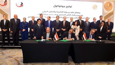إطلاق مبادرة لتحديث بيانات المصريين بالخارج في البنوك عبر السفارات والقنصليات  