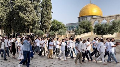 200 حالة اعتقال وقرارات بالإبعاد، تصعيد إسرائيلي يستهدف القدس المحتلة