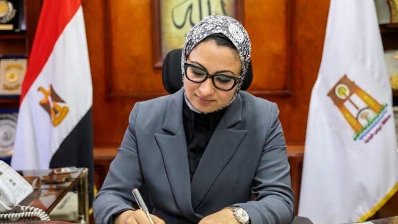 محافظ الوادي الجديد،