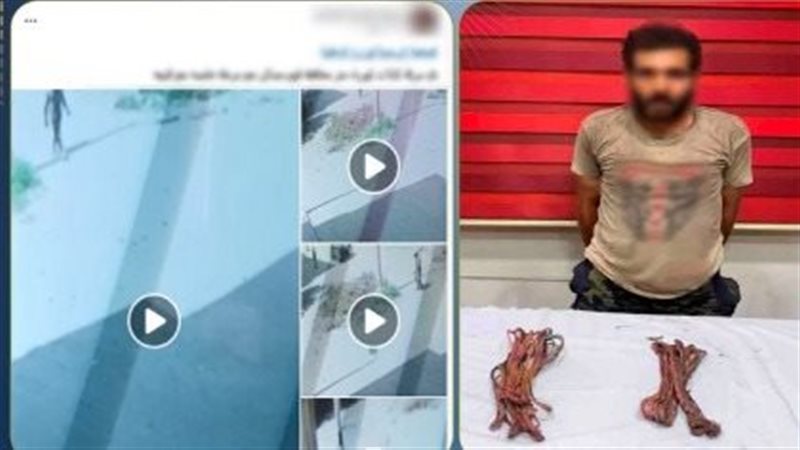  سرقة كابلات الكهرباء،
