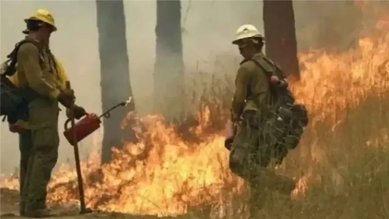 حرائق غابات واشنطن
