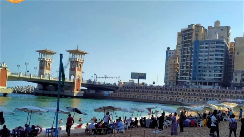 الاسكندريه 
