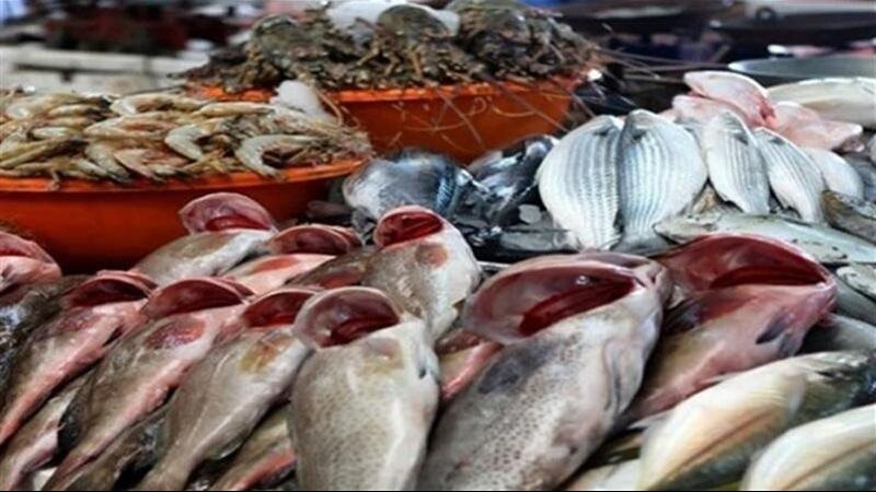 أسعار السمك اليوم،