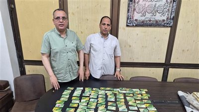 ضبط 120 بطاقة وسلع مجهولة المصدر في حملات لتموين الدقهلية 