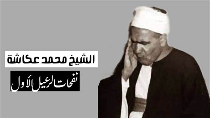 محمد عكاشة 