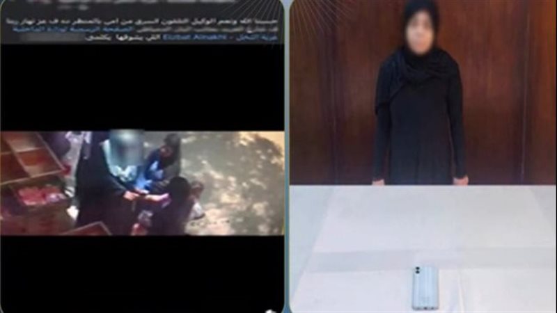 سرقة هاتف ربة منزل