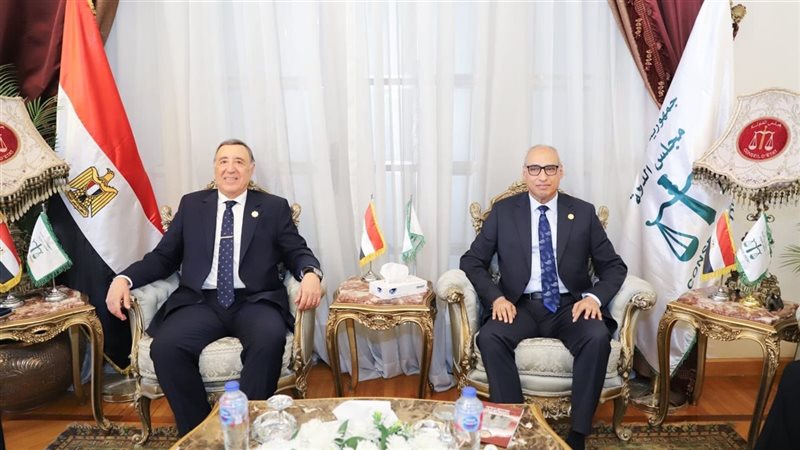 مجلس الدولة 