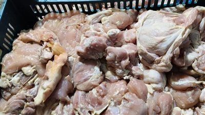 ضبط 1.5 طن دواجن غير صالحة للاستهلاك الآدمي في قليوب