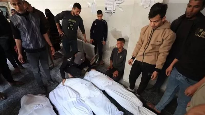 شهداء غزة، فيتو