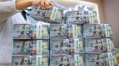 ارتفاع صافي احتياطي النقد الأجنبي إلى 56.3 مليار دولار في يوليو