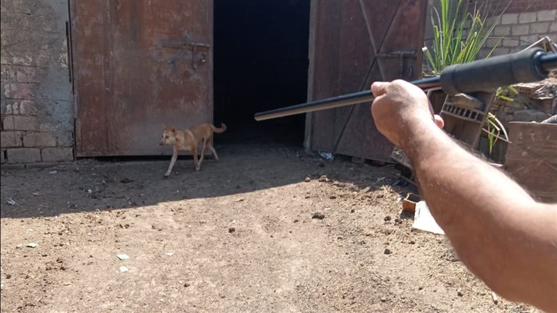  تحرك بيطري مكثف