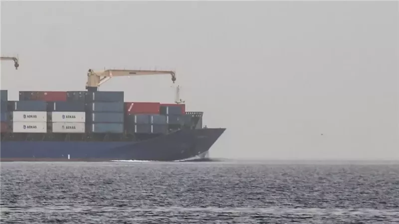 سفينة في باب المندب،