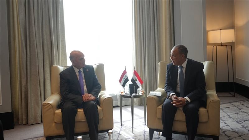 وزير الخارجية ونظيره