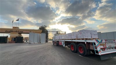 الدعم المصري يتواصل، «زاد العزة 251» تنقل آلاف الأطنان من الغذاء والدواء إلى غزة