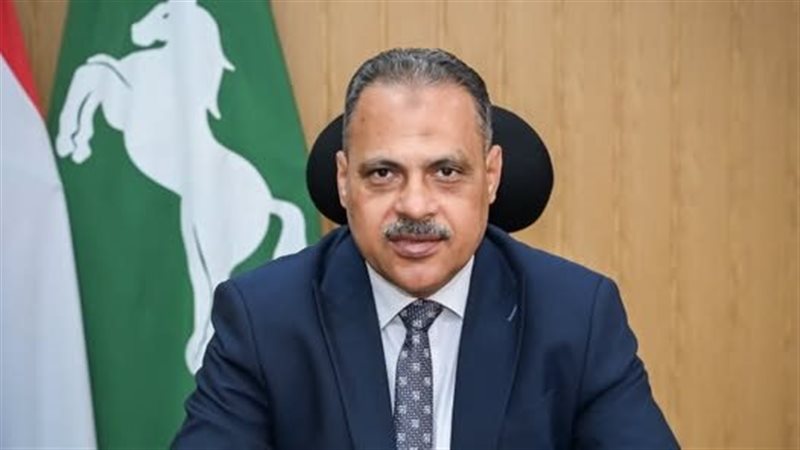 محافظ الشرقية