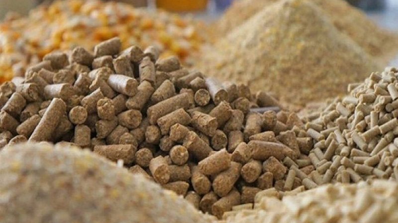 أسعار الأعلاف والحبوب