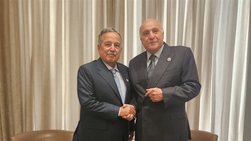 نبيل فهمي ووزير خارجية