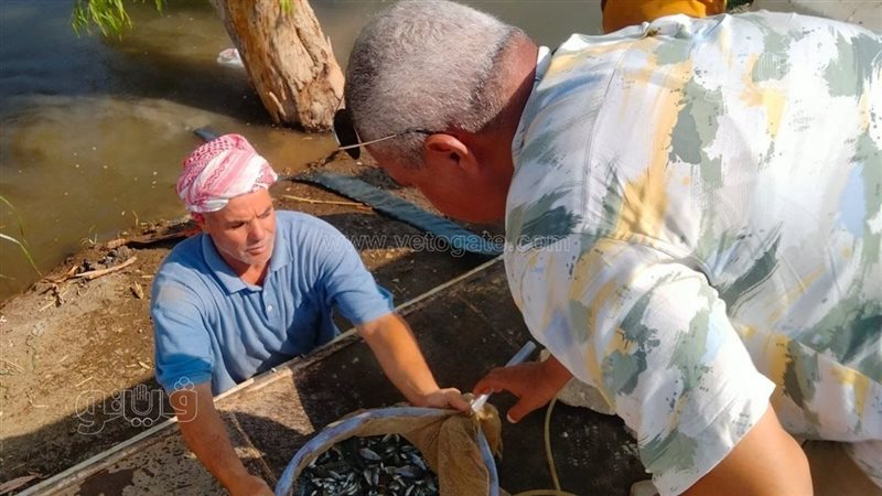 انزال الزريعة في
