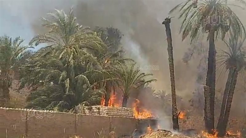 حريق أرض زراعية بالمنيا،