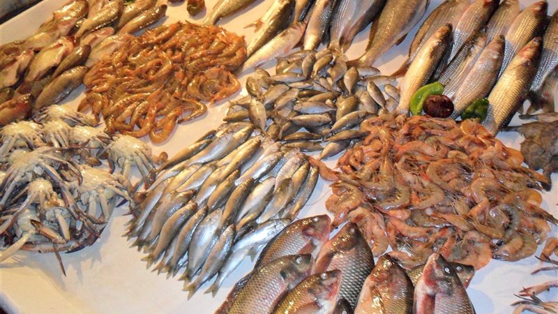أسعار السمك اليوم،
