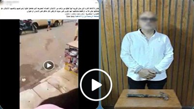 بسبب الكلاب الضالة، مطرقة حديدية تشعل أزمة أمام محل بالإسكندرية